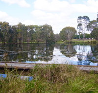 Baldwin Swamp Environmental Park - Accommodation Gold Coast