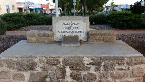 Barmera Horse Trough - Accommodation Gold Coast 0