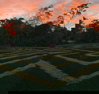 Bellingham Maze - Accommodation Gold Coast