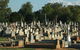 Benalla Cemetery Historical Walk - thumb 1