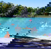 Black Diamond Lake - Accommodation Gold Coast
