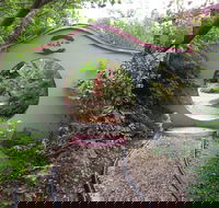 Black Dragon Gardens Wulong Yuan - Accommodation Gold Coast