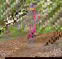 Bom Bom State Forest Mountain Bike Trails - Gold Coast 4U