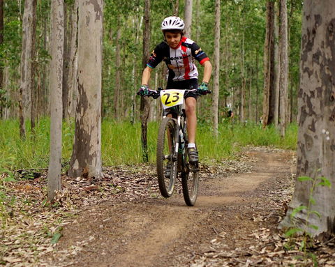 Bom Bom State Forest Mountain Bike Trails - Gold Coast 4U 1