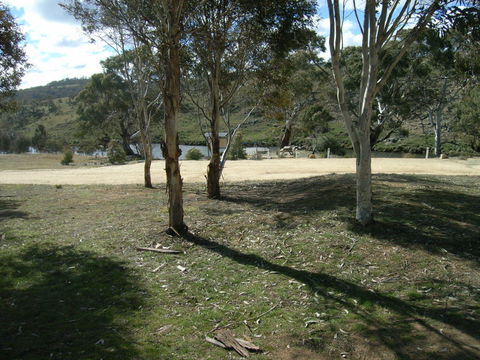 Bombala Platypus Reserve - Accommodation Gold Coast 0