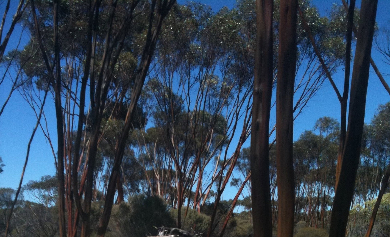 Boorabbin WA Accommodation Gold Coast