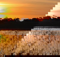 Bool Lagoon Game Reserve and Hacks Lagoon Conservation Park - Accommodation Gold Coast