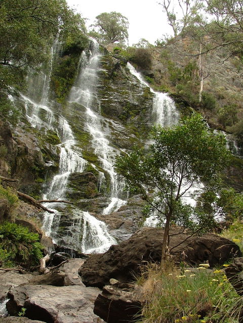 Buddong Falls Walking Track - Accommodation Gold Coast 0