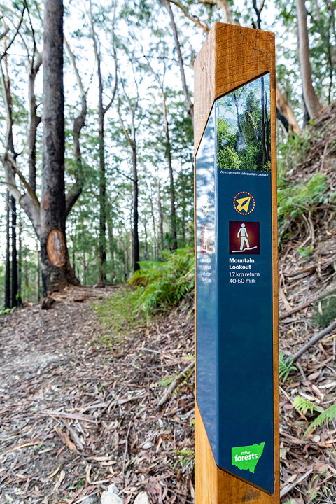 Bulahdelah Mountain Aboriginal Place - 1 Gold Coast 0