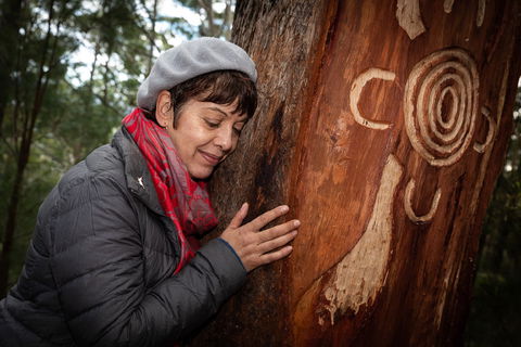 Bulahdelah Mountain Aboriginal Place - 1 Gold Coast 1