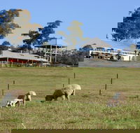Calmsley Hill City Farm - Accommodation Gold Coast