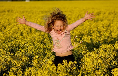 Canola Trail - Gold Coast 4U 0