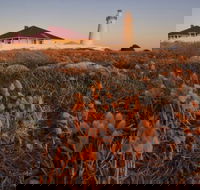 Cape Willoughby Heritage Trail - Gold Coast 4U