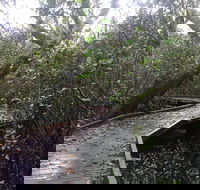 Carole Green Walkway - John Oxley Reserve - Accommodation Gold Coast