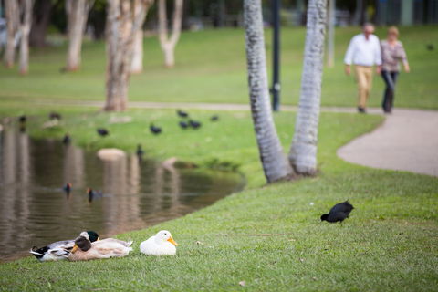 Centenary Lakes Park - Accommodation Gold Coast 2