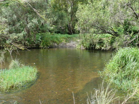 Chaelundi National Park - Gold Coast 4U 2