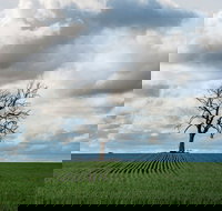 Clare Valley - Accommodation Gold Coast