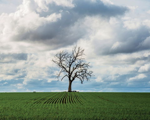 Clare Valley - 1 Gold Coast 0