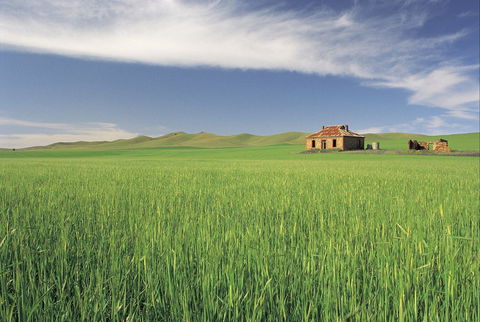 Clare Valley - 1 Gold Coast 1