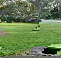 Cottonwood Glen Picnic Area - Accommodation Gold Coast
