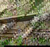 Daisy Hill Koala Centre - Accommodation Gold Coast