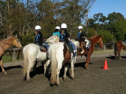 Darkes Forest Riding Ranch - 1 Gold Coast 1