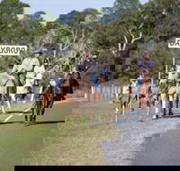 Dayboro - Accommodation Gold Coast