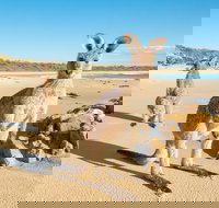 Diamond Head Beach - 1 Gold Coast