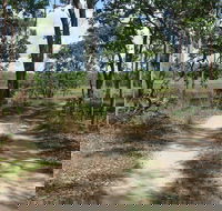 Djukbinj National Park - Accommodation Gold Coast