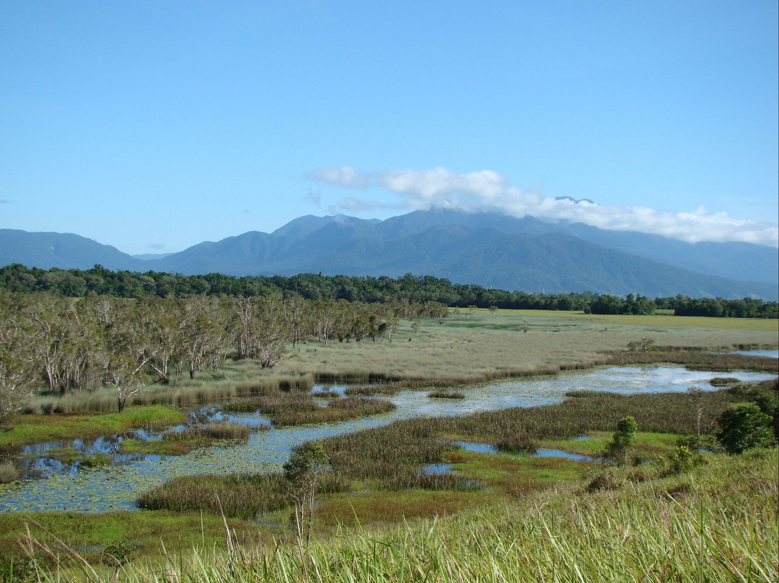 Tropical North Queensland QLD 1 Gold Coast