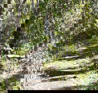 Euglah Rock Walking Track - 1 Gold Coast