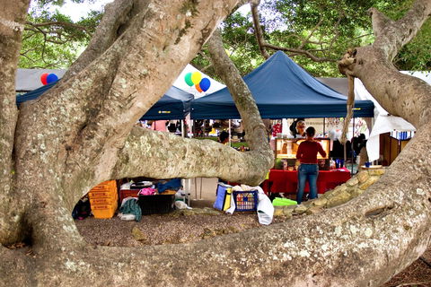 Eumundi - Accommodation Gold Coast 0