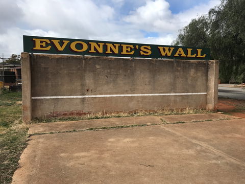 Evonne Goolagong-Cawley Wall - 1 Gold Coast 1