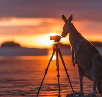 Explore the Mackay Region in Three Days - Accommodation Gold Coast