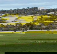 Fini Olives - 1 Gold Coast