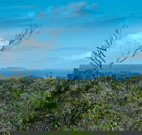 Forest Walking Track Crowdy Bay National Park - 1 Gold Coast