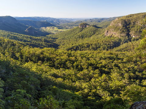 Gold Coast Hinterland Great Walk - Accommodation Gold Coast 0