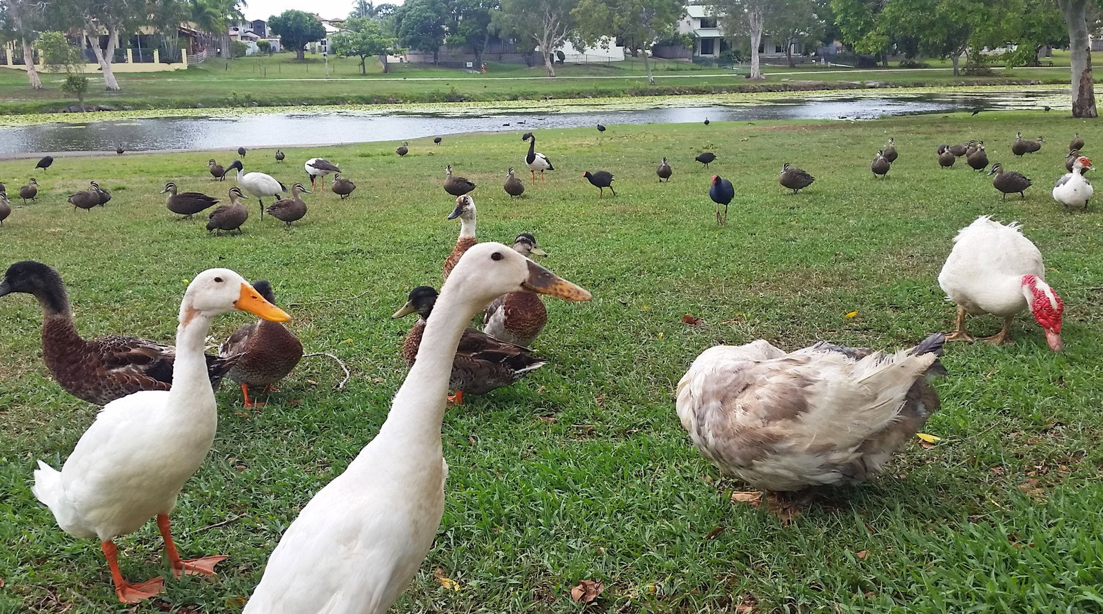 Accommodation Gold Coast