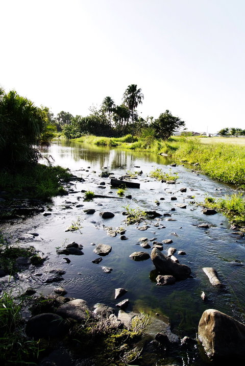 Gooseponds, North Mackay - Accommodation Gold Coast 2