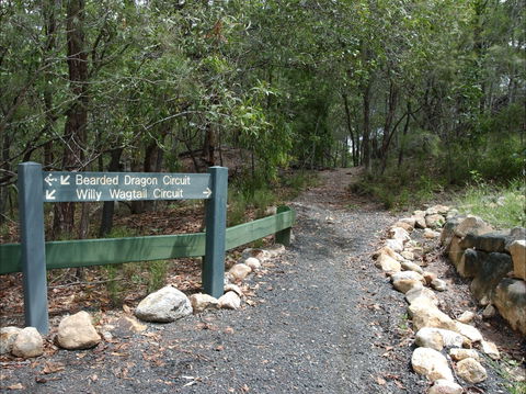 Haig Street Quarry Bushland Reserve Trails - Accommodation Gold Coast 1