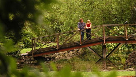 Hamilton - Accommodation Gold Coast 1