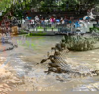 Hartley's Crocodile Adventures - 1 Gold Coast