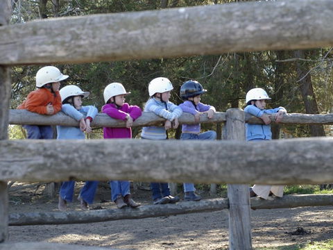 Harlow Park Horse Riding - 1 Gold Coast 0