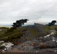 Iron Stone Hill Hike - Gold Coast 4U