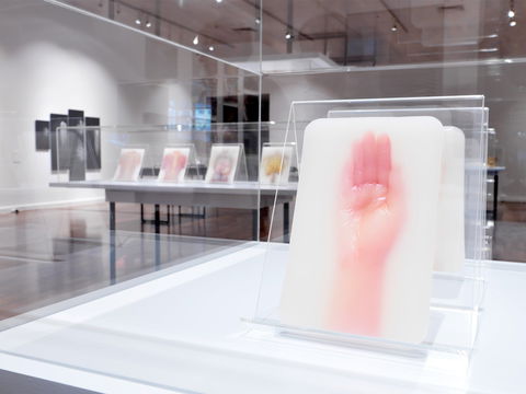 JamFactory - Accommodation Gold Coast 2