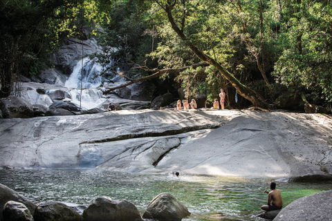 Josephine Falls Walking Track, Wooroonooran National Park - 1 Gold Coast 1