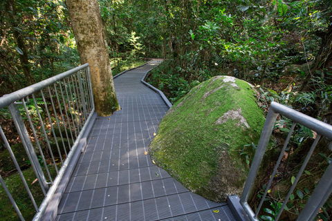 Josephine Falls Walking Track, Wooroonooran National Park - 1 Gold Coast 2