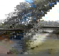 Junction Island Nature Reserve Canoe Tree and Walking Track - Gold Coast 4U