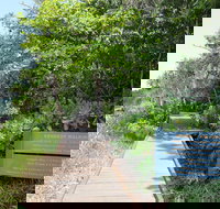 Kennedy Walking Track - Accommodation Gold Coast