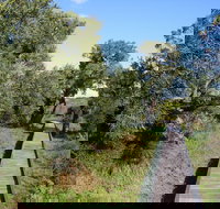 Kepwari Trails Wetland Wonderland - Accommodation Gold Coast